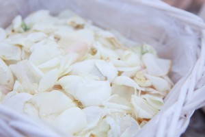 IMG_7260